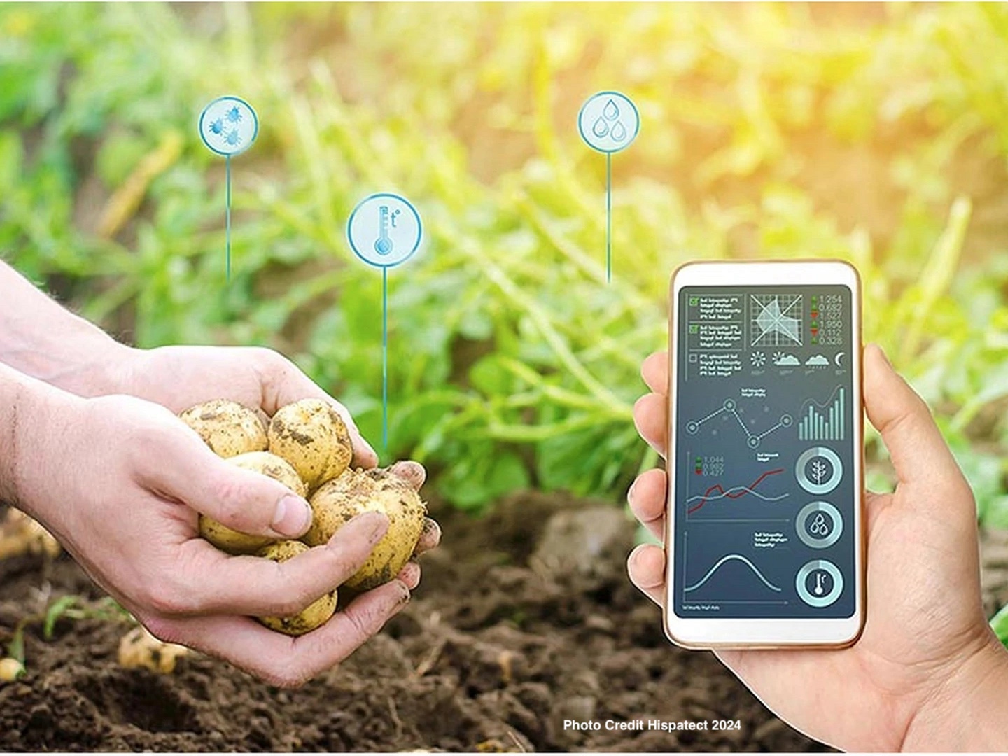 AgriData1