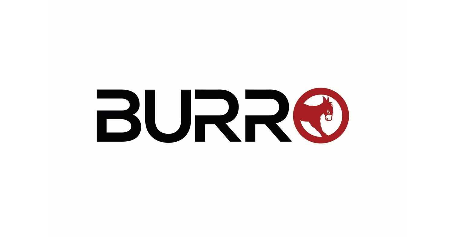 Burro
