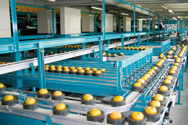 Industrial Farming