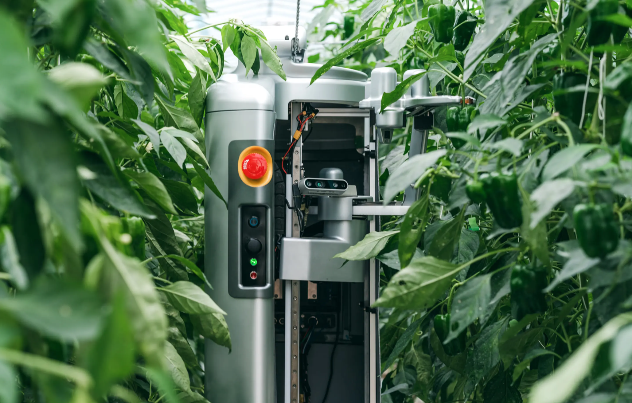 Agricultural Robotics