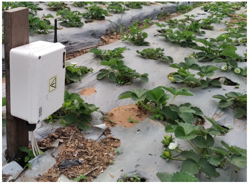 Smart irrigation control system data in Paraguay