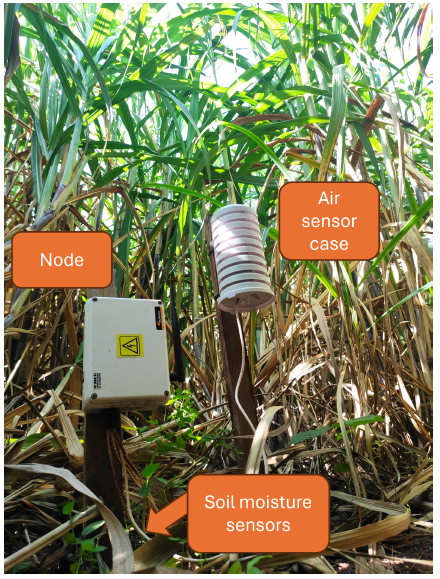 Sugarcane soil moisture data