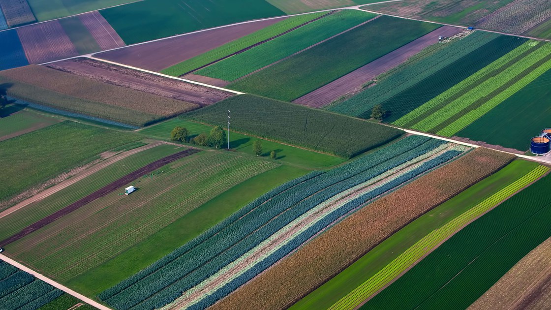 Intensive Agriculture